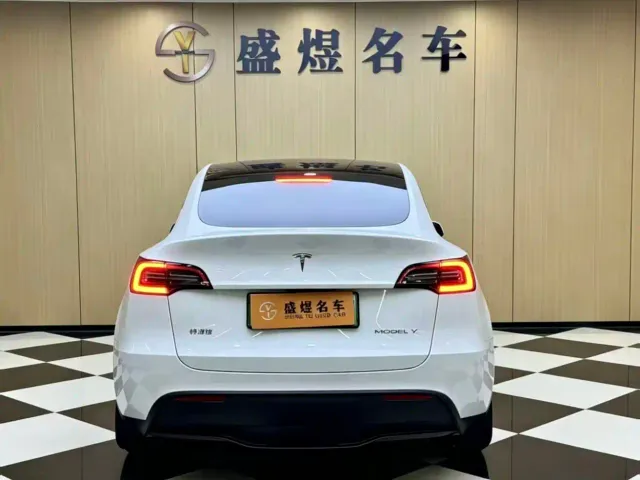 Tesla Model Y — Фото автомобиля 2