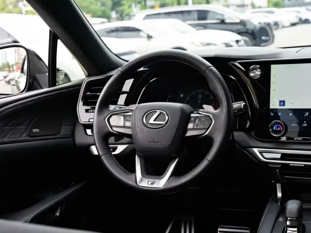 Lexus RX — Фото автомобиля 14