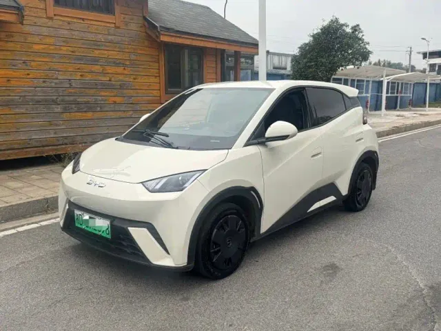 Фотография автомобиля — BYD Seagull