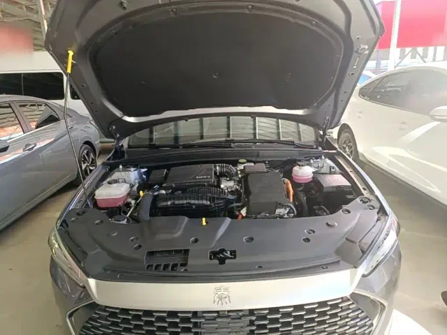 BYD Qin PLUS — Фото автомобиля 19