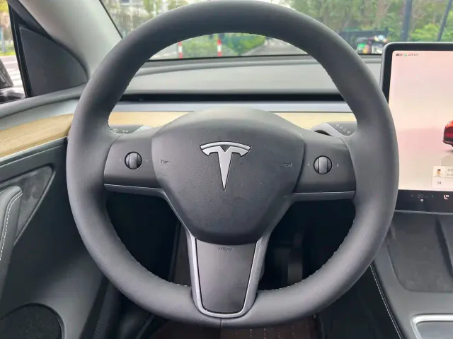 Tesla Model Y — Фото автомобиля 17