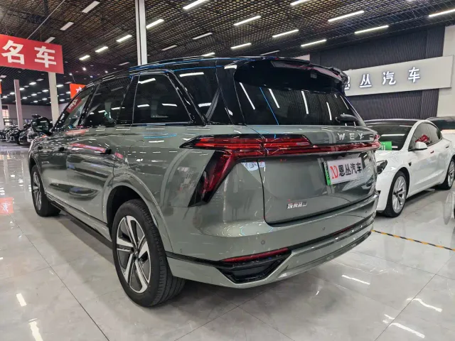 Wey Lanshan — Фото автомобиля 7