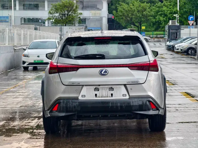 Lexus Lexus UX Electric 2020 300e Pure Enjoyment Edition — Фото автомобиля 5