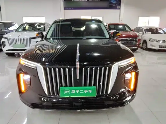 Hongqi E-HS9 — Фото автомобиля 2