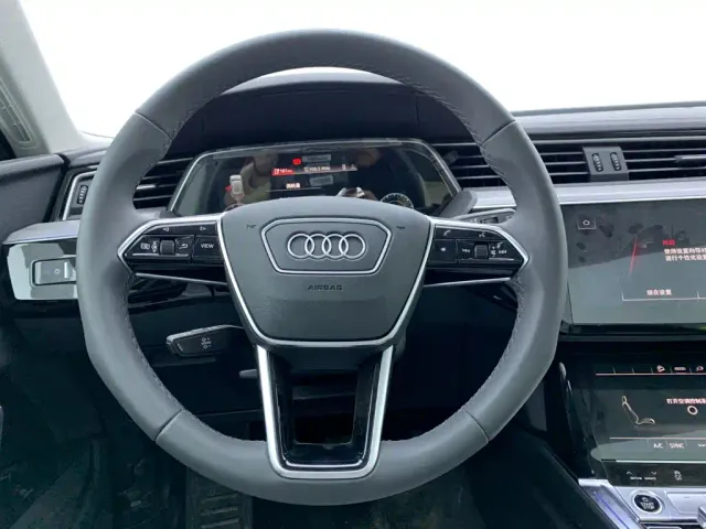 Audi e-tron — Фото автомобиля 22