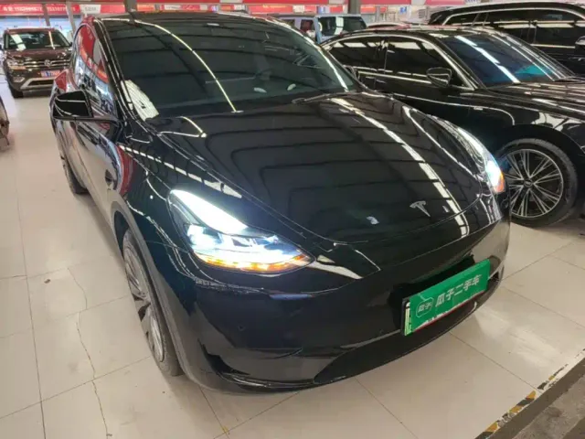 Tesla Model Y — Фото автомобиля 3