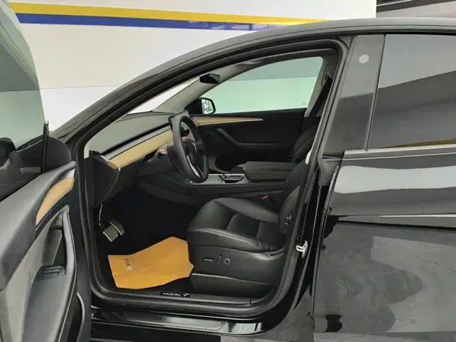 Tesla Model Y — Фото автомобиля 9
