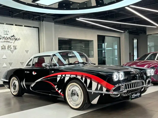 Фотография автомобиля — SONGSAN MOTORS SS DOLPHIN