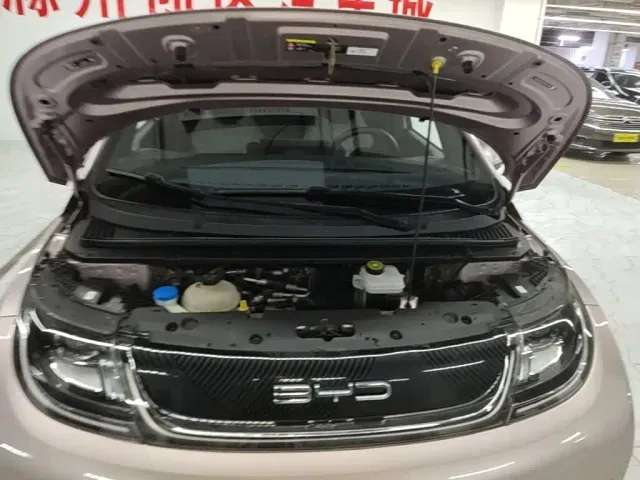 BYD Dolphin — Фото автомобиля 19