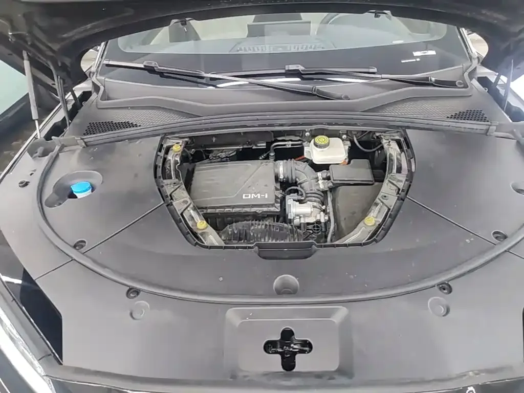 BYD Song PLUS PHEV 2024 Glory Edition DM-i 110km Flagship — Фото автомобиля 19