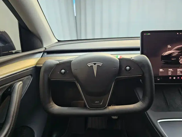 Tesla Model Y — Фото автомобиля 16