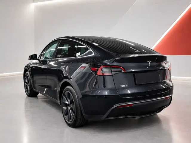 Tesla Model Y — Фото автомобиля 4