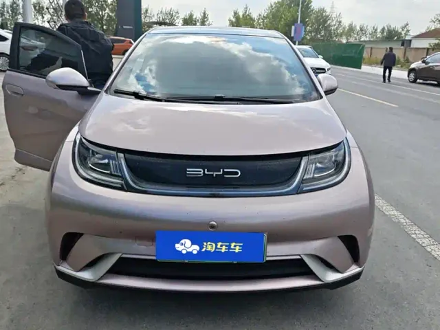 BYD Dolphin — Фото автомобиля 2