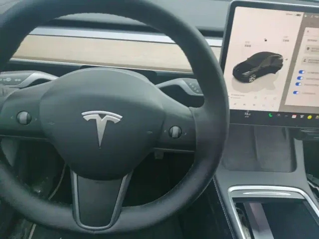 Tesla Model Y — Фото автомобиля 13