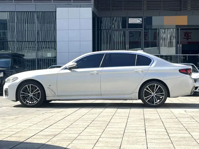 BMW 5 Series — Фото автомобиля 8