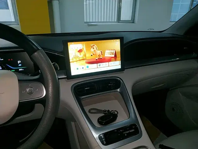 Geely Starry Wish — Фото автомобиля 12