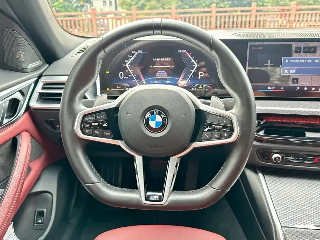 BMW 4 Series — Фото автомобиля 17
