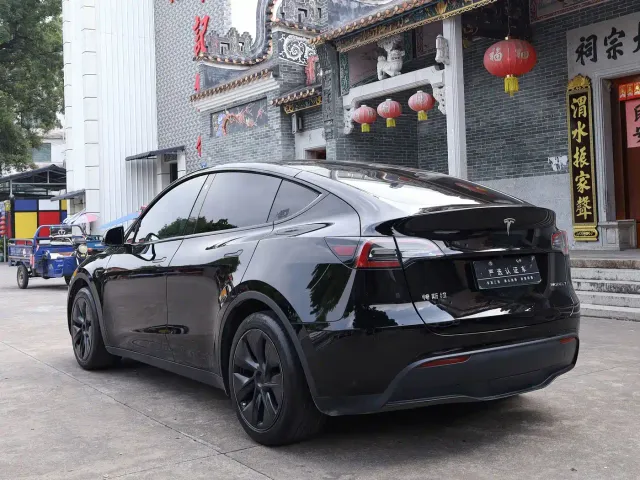 Tesla Model Y — Фото автомобиля 10