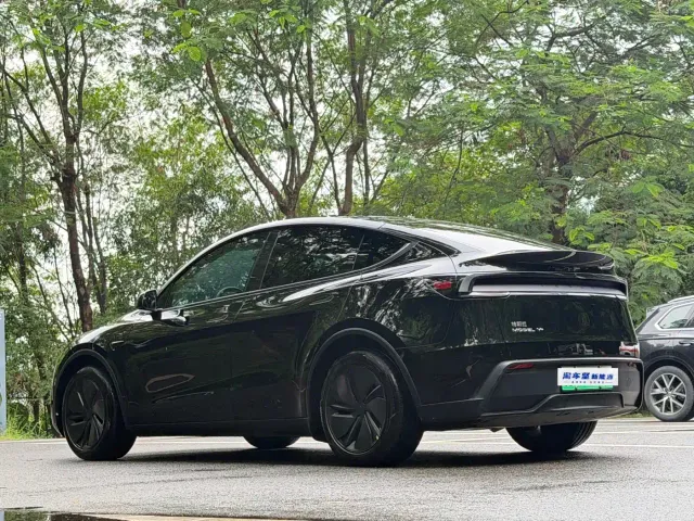 Tesla Model Y — Фото автомобиля 3