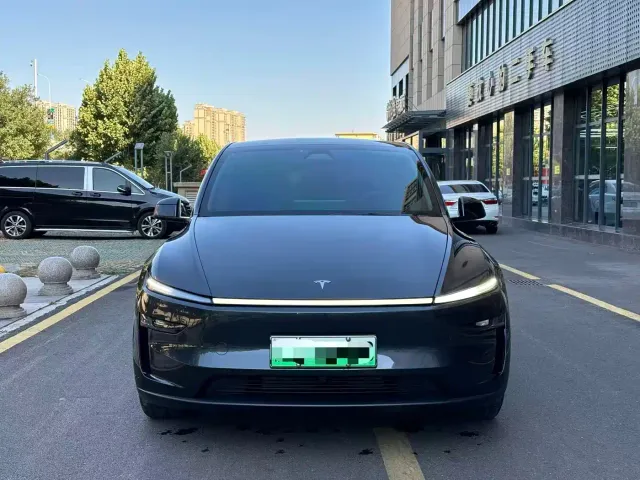 Tesla Model Y — Фото автомобиля 3