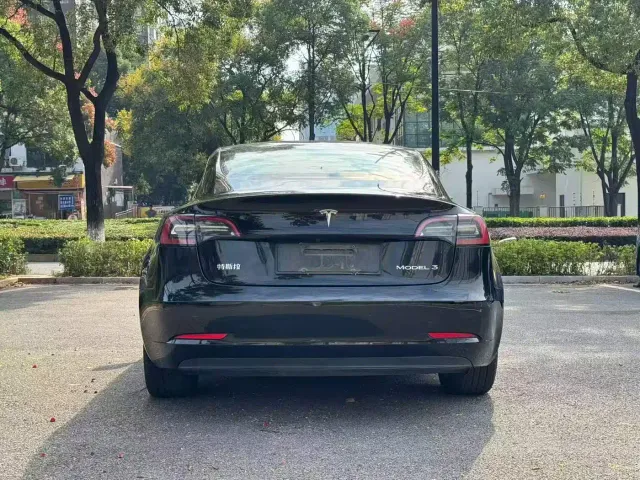 Tesla Model 3 — Фото автомобиля 8