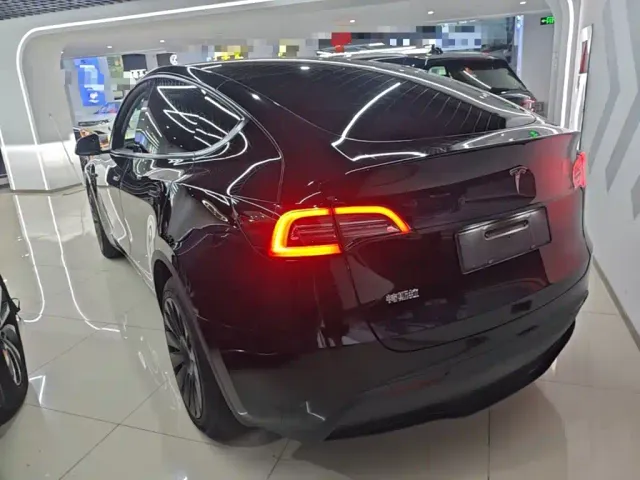 Tesla Model Y — Фото автомобиля 4