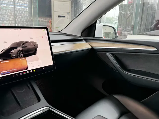 Tesla Model Y — Фото автомобиля 10