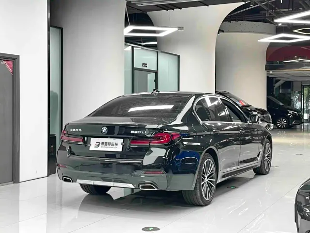BMW 5 Series — Фото автомобиля 11