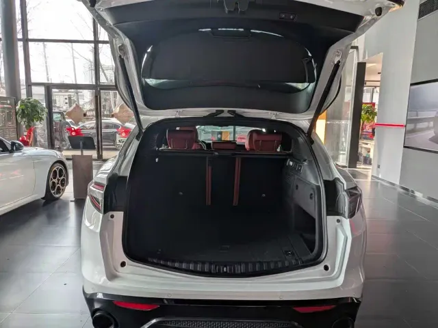 Alfa Romeo Stelvio — Фото автомобиля 9