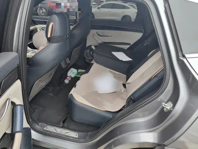 BYD Song PLUS — Фото автомобиля 14