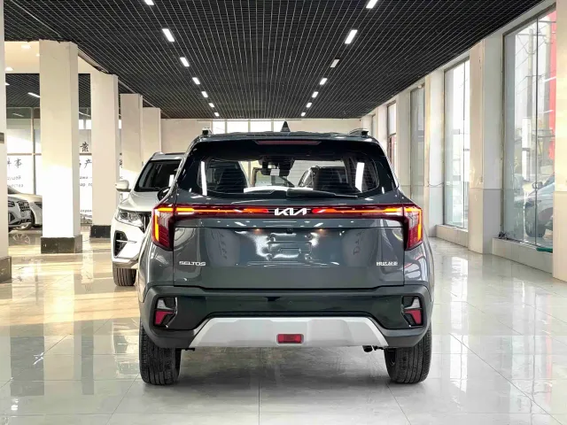 Kia Seltos — Фото автомобиля 12