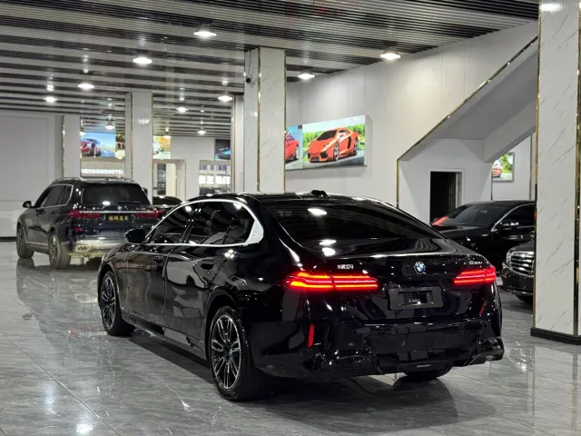 BMW 5 Series — Фото автомобиля 14