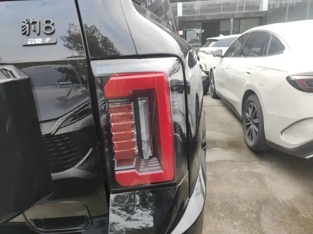 BYD FangChengBao Leopard 8 — Фото автомобиля 7