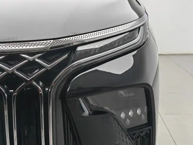 Forthing Xinghai V9 — Фото автомобиля 7