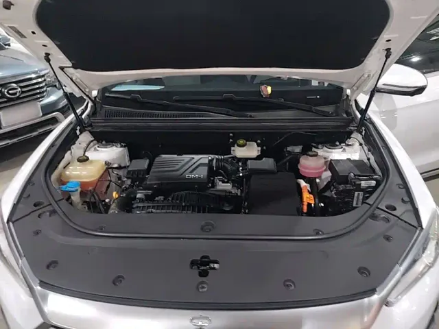 BYD Song Pro — Фото автомобиля 19