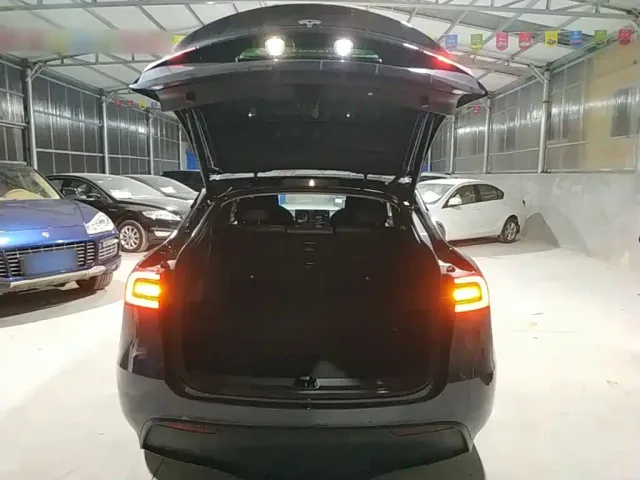 Tesla Model Y — Фото автомобиля 18