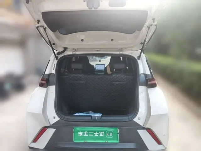 BYD Seagull 2024 Glory Edition 305km Vitality Edition — Фото автомобиля 15
