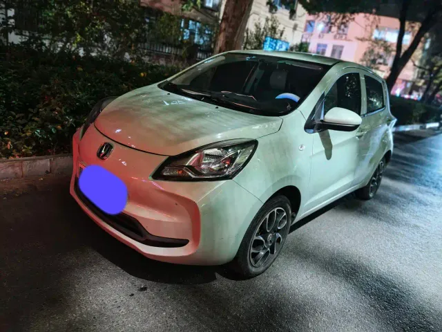 Фотография автомобиля — Changan Benben E-Star