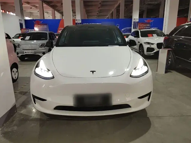 Tesla Model Y — Фото автомобиля 2