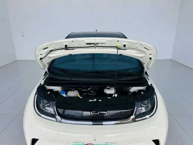 BYD Dolphin — Фото автомобиля 24