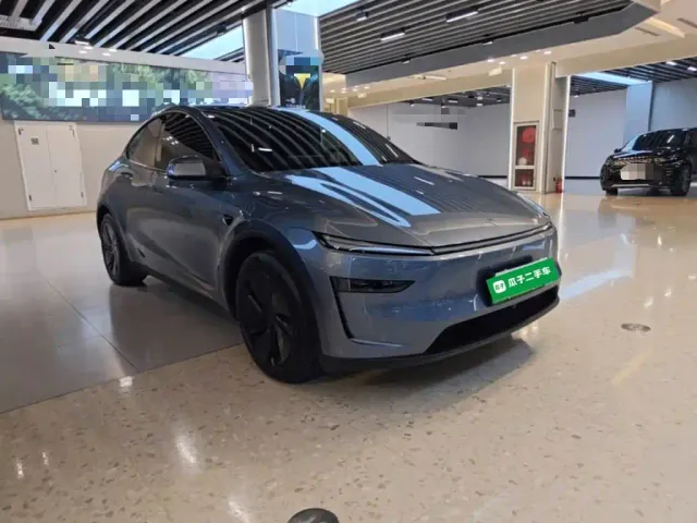 Tesla Model Y — Фото автомобиля 3