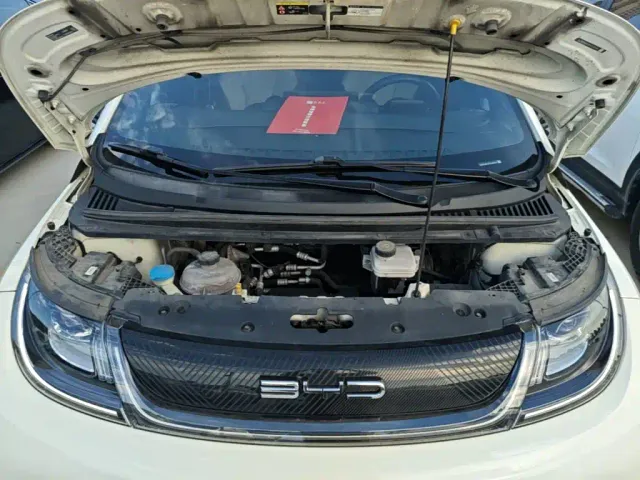 BYD Dolphin — Фото автомобиля 19