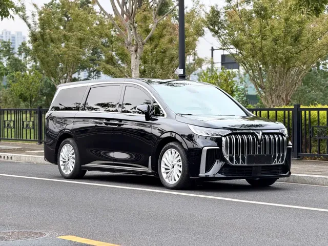Voyah Auto Voyah Dreamer 2022 Low Carbon Edition Home — Фото автомобиля 3