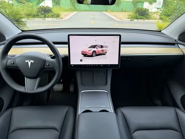 Tesla Model Y — Фото автомобиля 5
