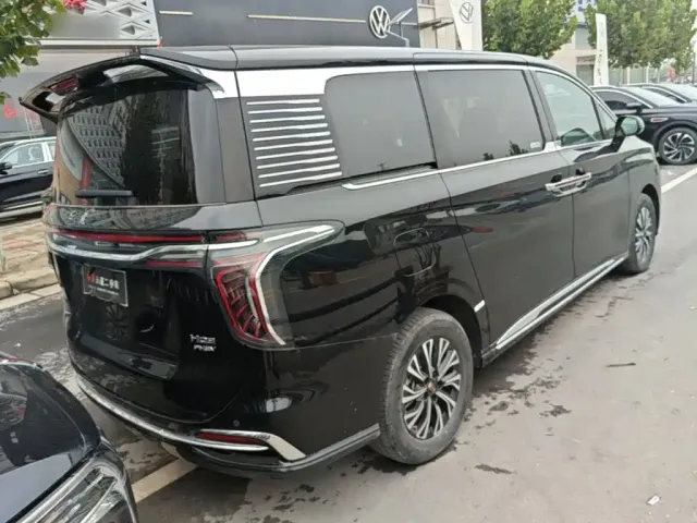 Hongqi Hongqi HQ9 PHEV 2024 Model 2.0T AWD Business Edition — Фото автомобиля 6