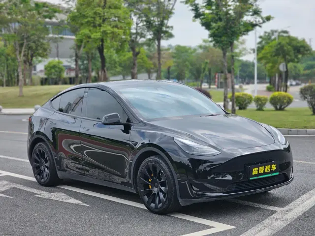 Tesla Model Y — Фото автомобиля 3
