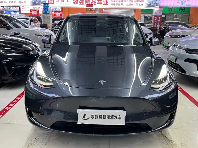 Tesla Model Y — Фото автомобиля 2