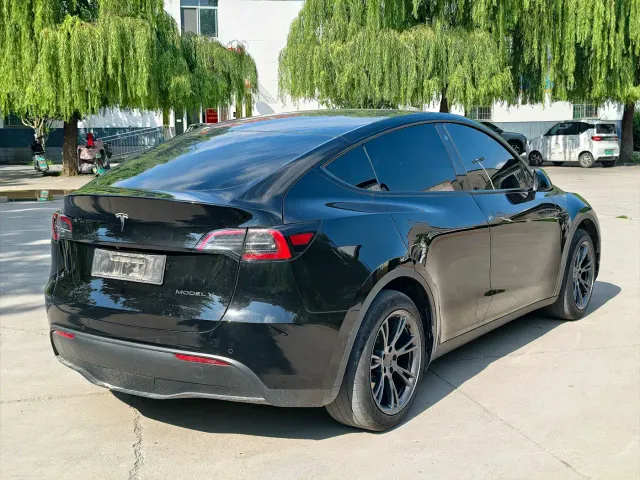 Tesla Model Y — Фото автомобиля 3