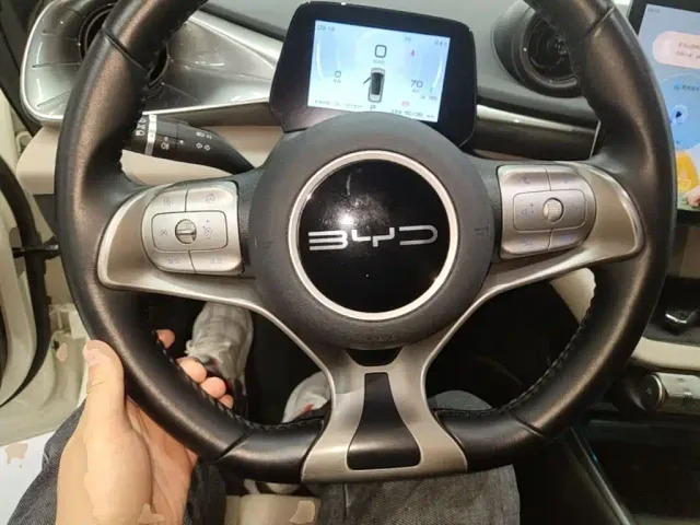 BYD Dolphin — Фото автомобиля 10