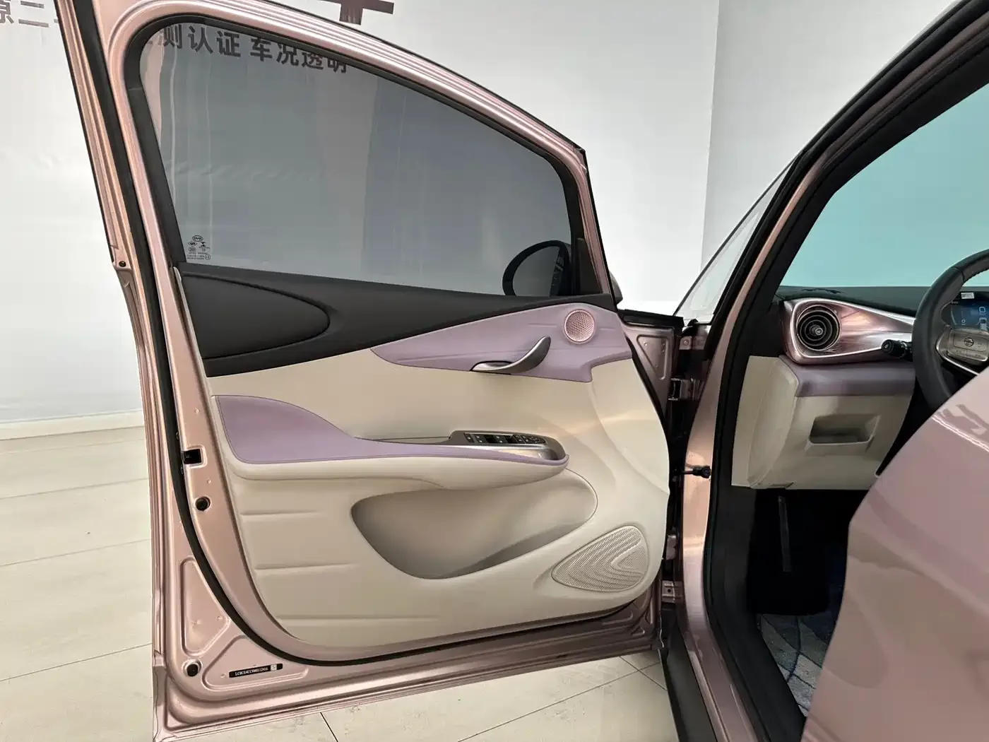 BYD Dolphin 2021 Model 405km Fashion Edition — Фото автомобиля 16